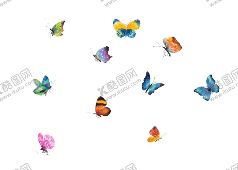 编号：25072710011502196108【酷图网】源文件下载-蝴蝶