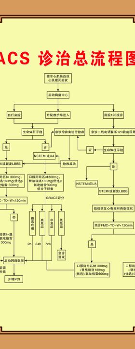 ACS诊治总流程图