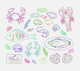 手绘海洋生物图案