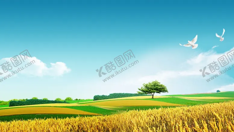 编号：35076204300153441768【酷图网】源文件下载-丰收背景