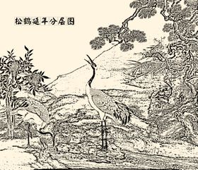 松鹤延年寿矢量