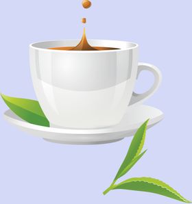 茶