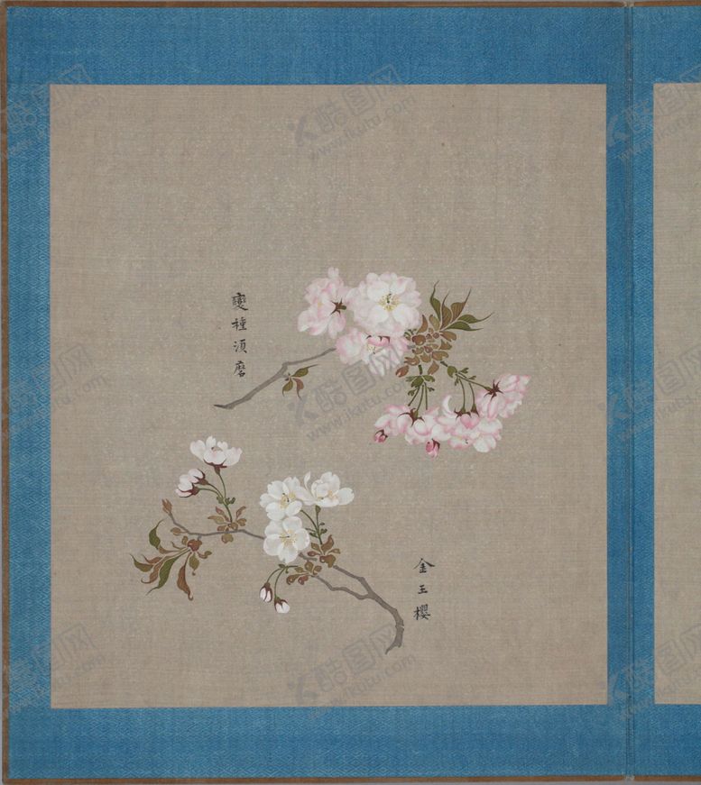 编号：48860204141506588972【酷图网】源文件下载-樱花