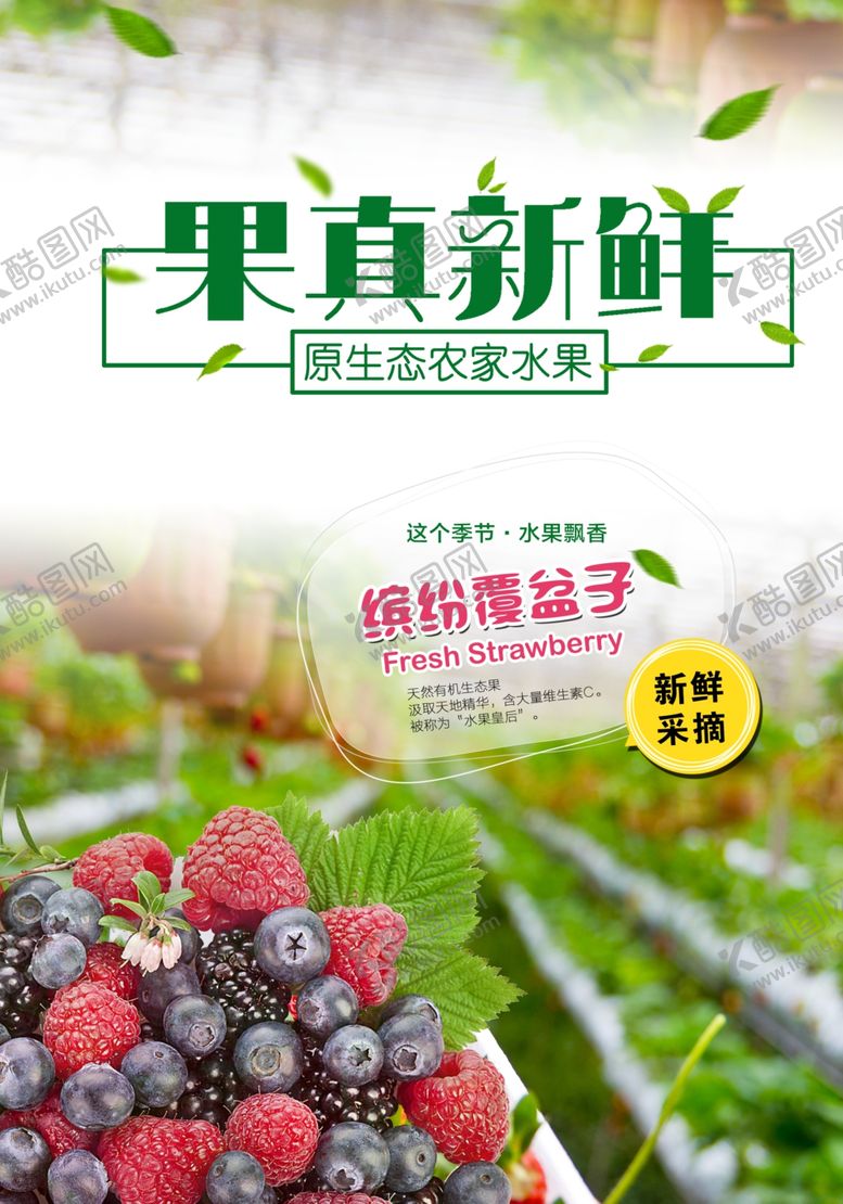编号：53777007032030493329【酷图网】源文件下载-水果