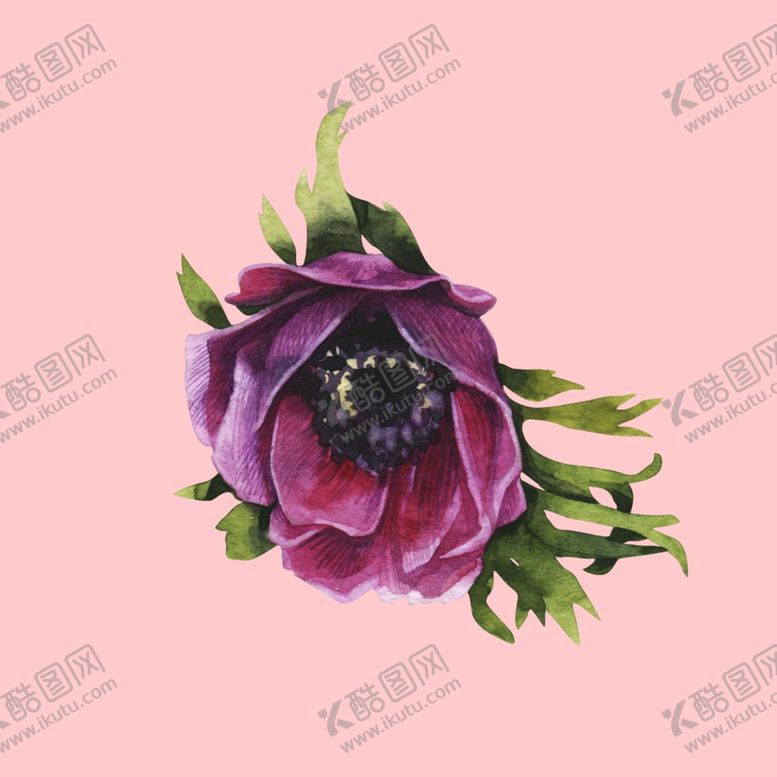 编号：23391410270946479127【酷图网】源文件下载-水彩植物