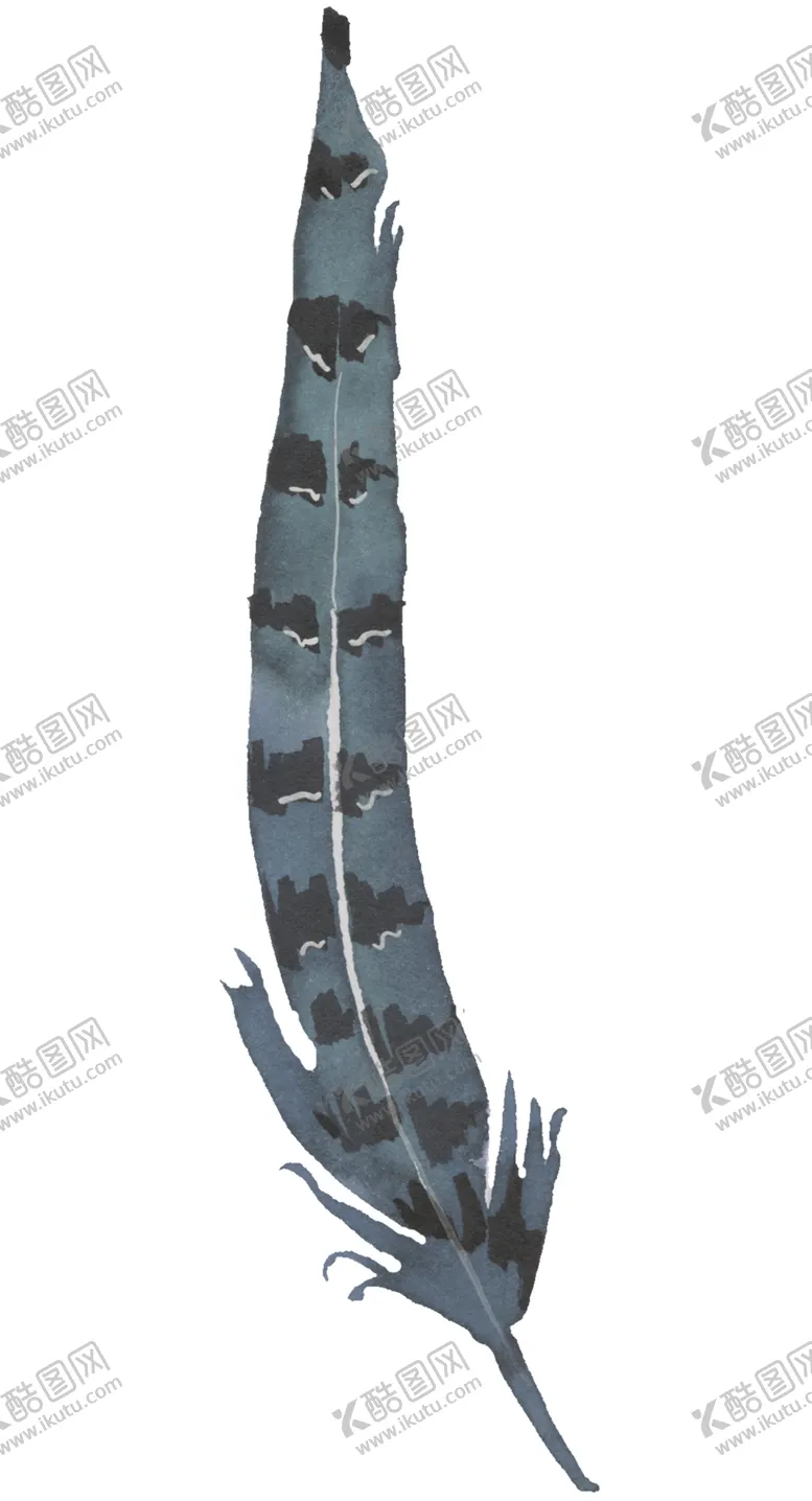 编号：34860902111113184826【酷图网】源文件下载-羽毛