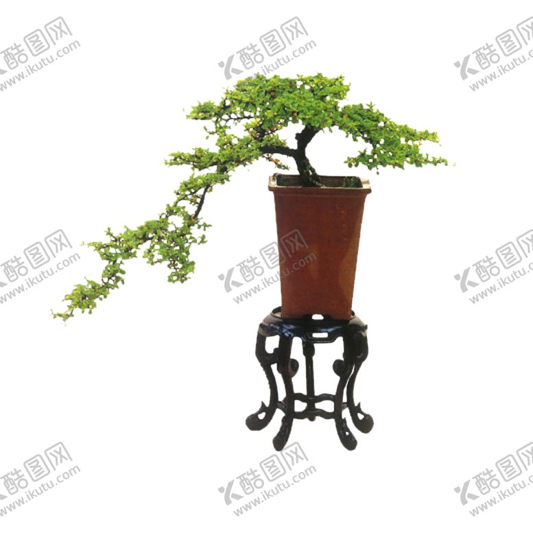 编号：30360609260412382533【酷图网】源文件下载-绿色植物