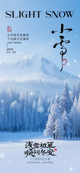 小雪海报