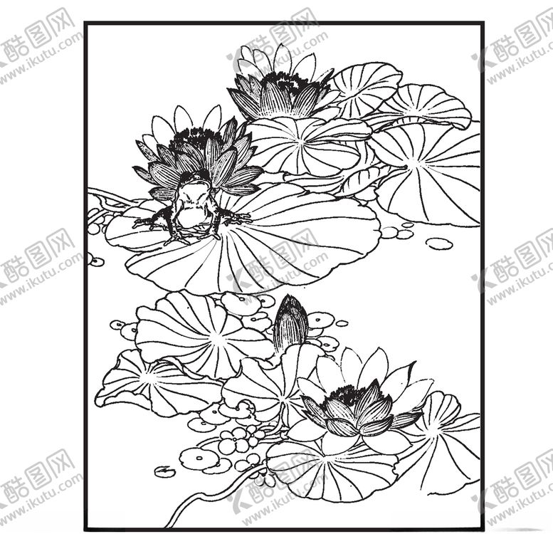 编号：34081509280622315610【酷图网】源文件下载-睡莲