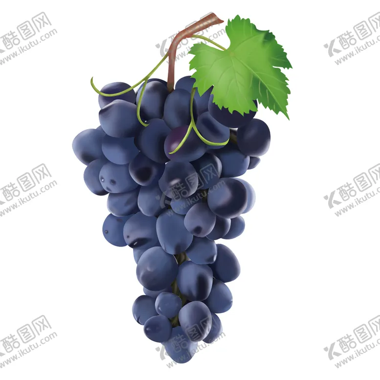 编号：90276510082100521682【酷图网】源文件下载-葡萄