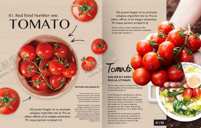 编号：56353109190650528823【酷图网】源文件下载-美食画册