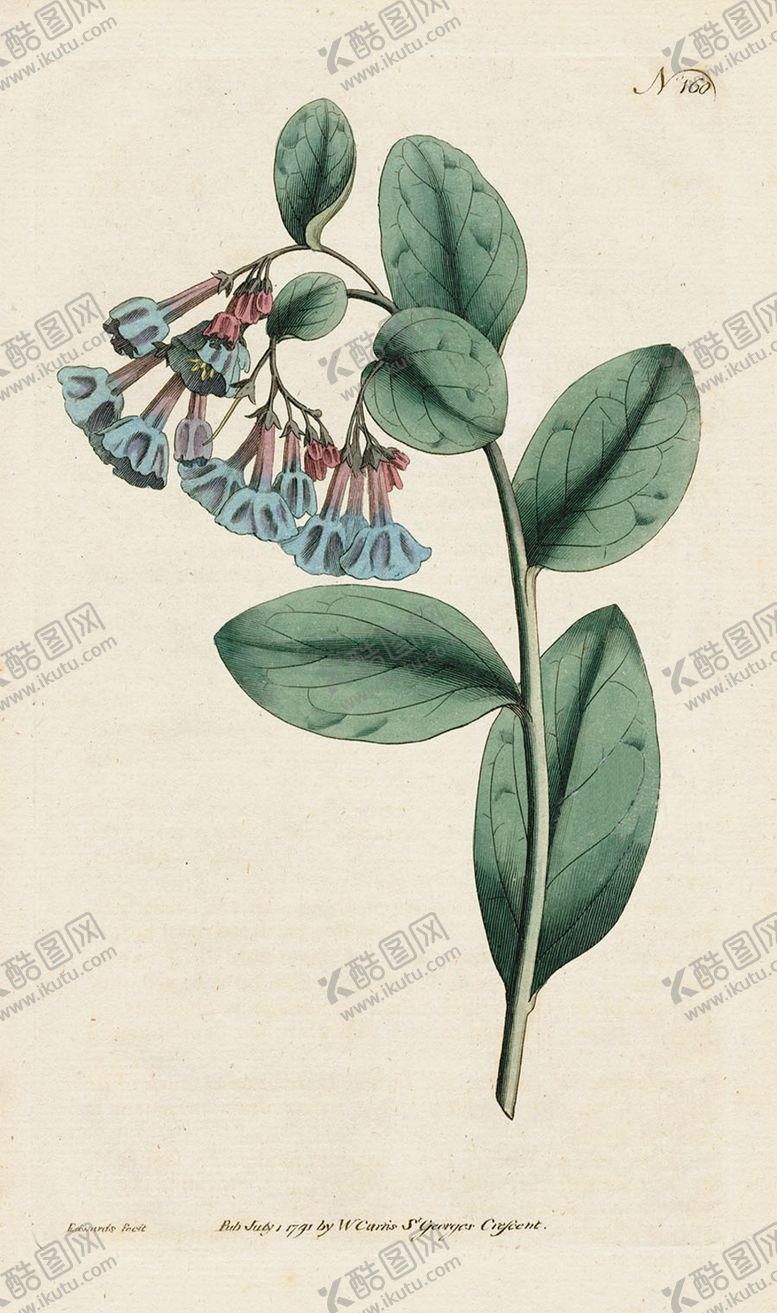 编号：34725607140344052264【酷图网】源文件下载-欧式复古色调花朵植物