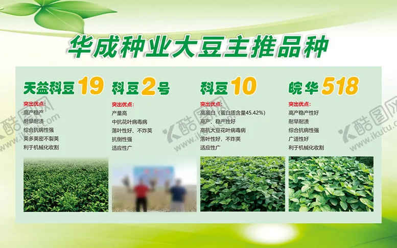编号：18091311010958463484【酷图网】源文件下载-大豆主推品种