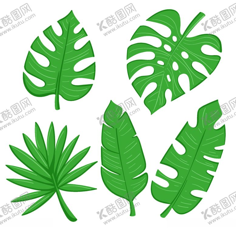 编号：98948010231317225667【酷图网】源文件下载-线条矢量手绘花草植物