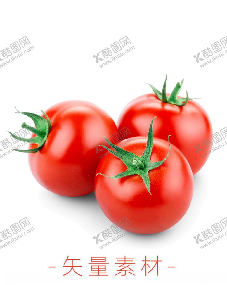 编号：93738509171247599048【酷图网】源文件下载-番茄西红柿