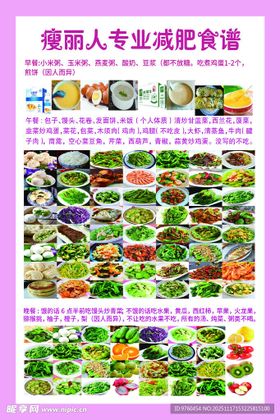 专业减肥食谱