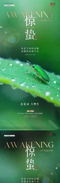 地产惊蛰植物昆虫摄影海报