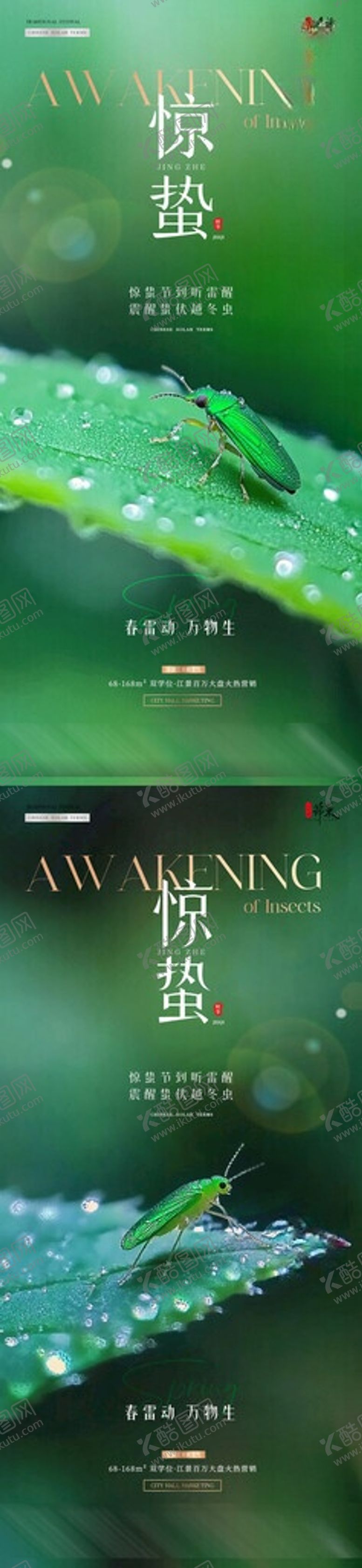 编号：28323306031721092203【酷图网】源文件下载-地产惊蛰植物昆虫摄影海报