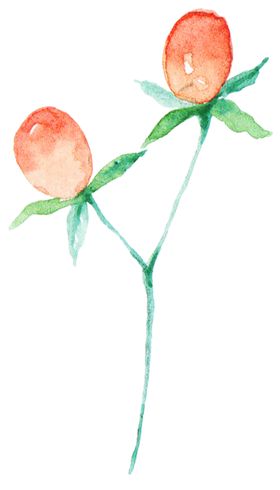 水果包菜草莓店展板