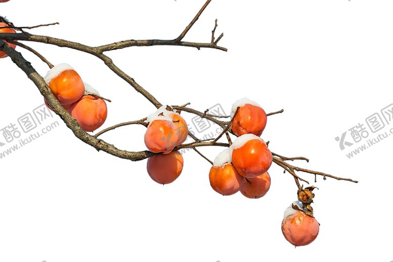 编号：44019310292335561787【酷图网】源文件下载-水果