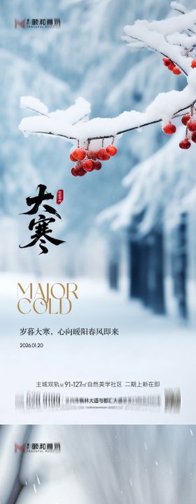 大寒节气节日海报雪梅花腊梅
