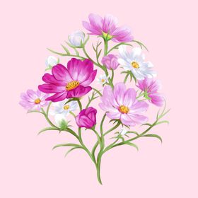粉色花卉插画