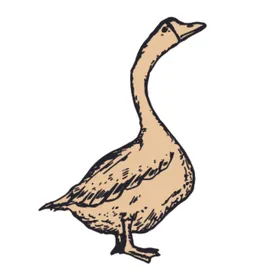 家养动物主题插画