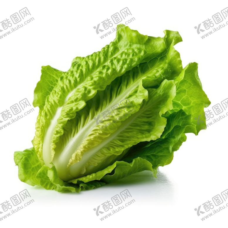 编号：60267010302022269527【酷图网】源文件下载-大白菜