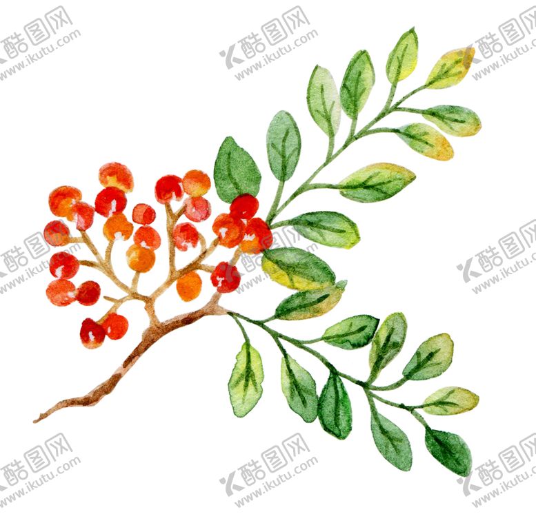 编号：26627807012217555770【酷图网】源文件下载-绿色植物