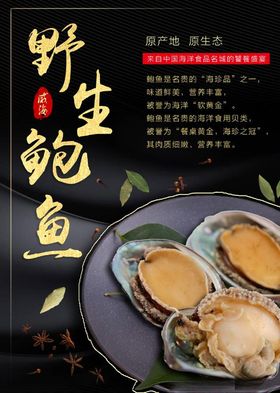 鲍鱼产品海报设计