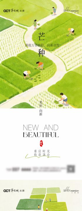 芒种系列海报