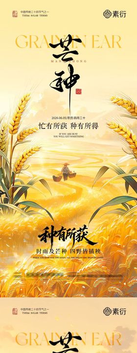 芒种节气小麦稻田中式插画海报