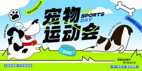宠物运动会趣味场景