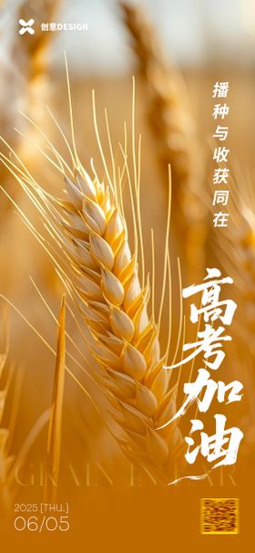 芒种节气高考