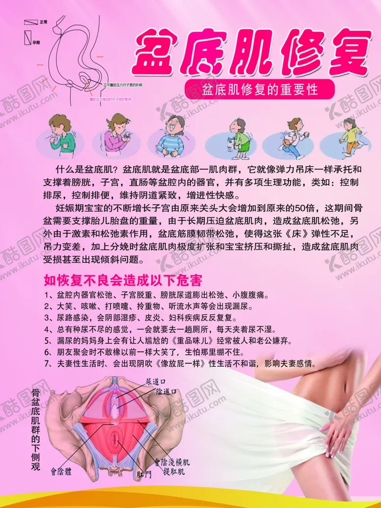编号：54650504221724359596【酷图网】源文件下载-盆底肌修复