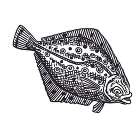 海洋生物鱼类图案