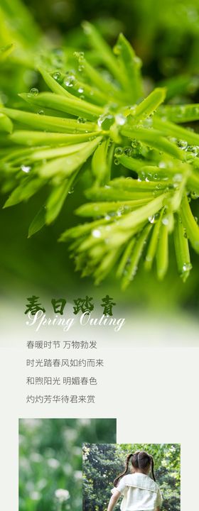 清明节踏青酒店长图