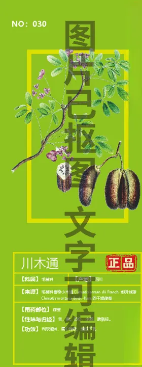 川木通