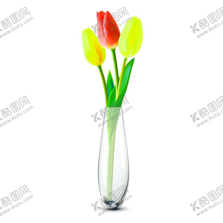 编号：52110209121432017277【酷图网】源文件下载-花素材