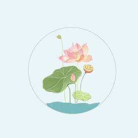 荷花元素莲摄影莲底纹莲水彩
