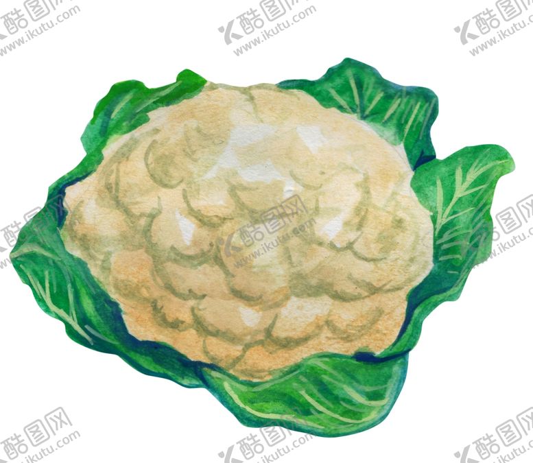 编号：91549007050750314408【酷图网】源文件下载-菜花