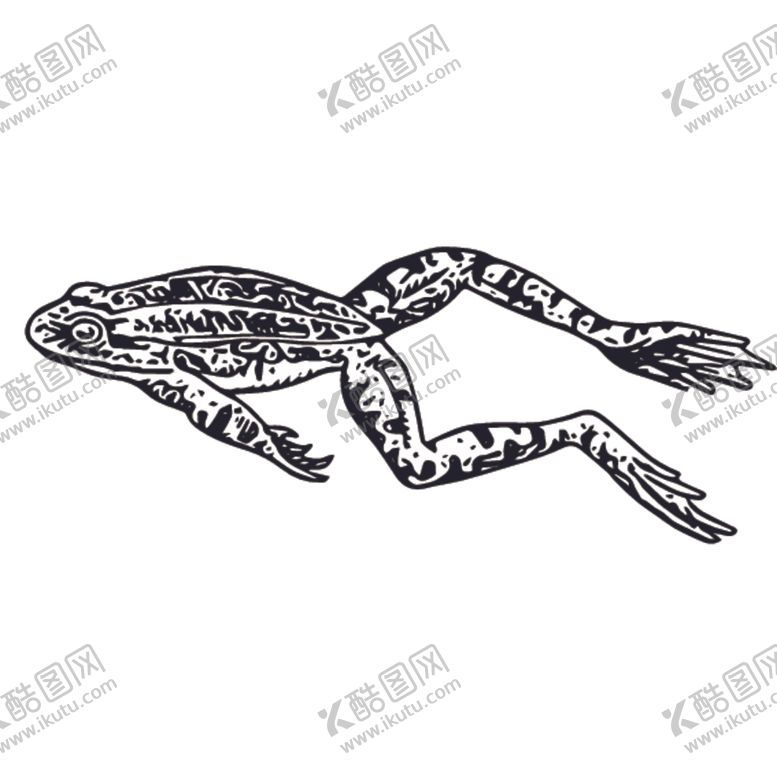 编号：73253809091702282031【酷图网】源文件下载-爬行动物线稿绘画图案