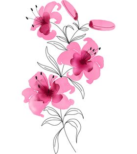 花插画