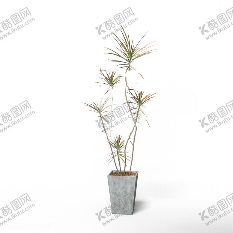 编号：42657912110750492198【酷图网】源文件下载-C4D模型绿色植物