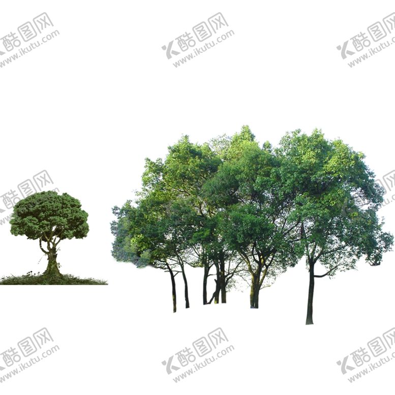 编号：38715305100603113411【酷图网】源文件下载-树（右面几棵树是一个层）