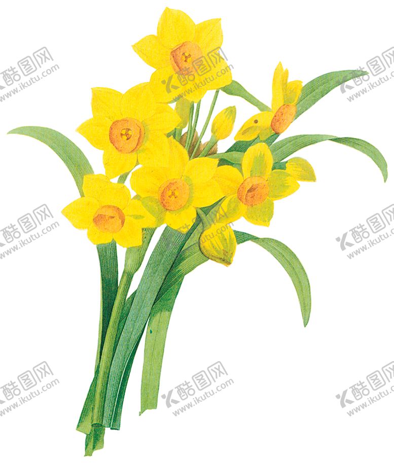 编号：62032907041320539626【酷图网】源文件下载-植物花卉油画装饰画