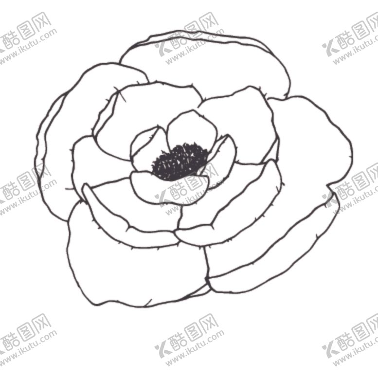 编号：11577109240940421540【酷图网】源文件下载-简笔绘画植物花朵图谱