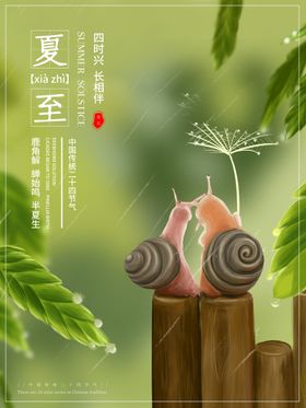 夏至模板背景设计