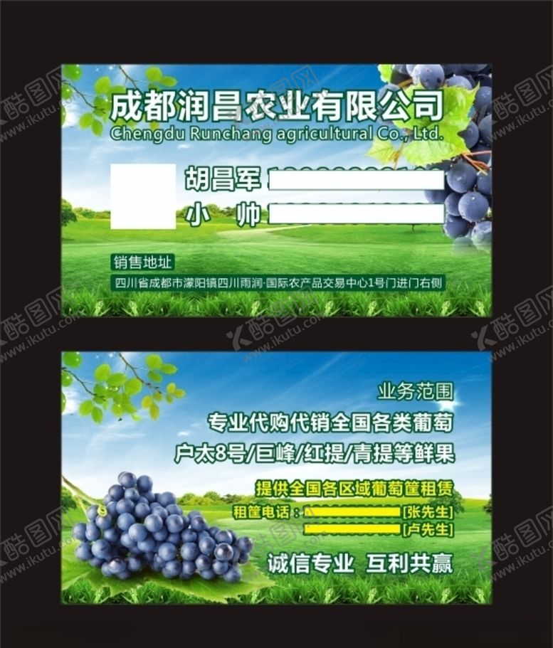 编号：45136110100538005493【酷图网】源文件下载-葡萄名片