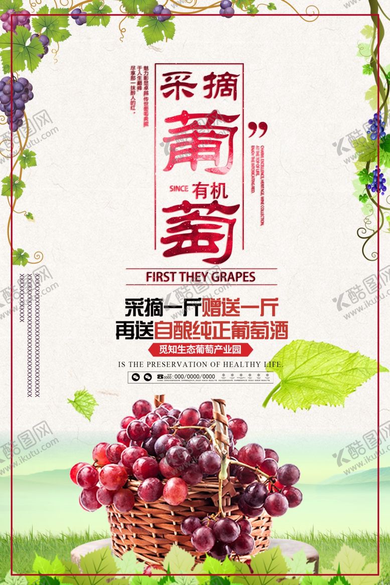 编号：12760409201302106234【酷图网】源文件下载-葡萄
